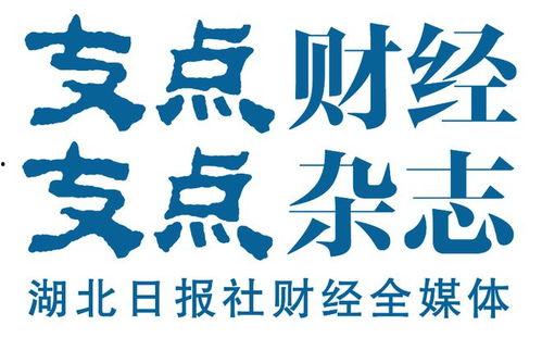 楚天传媒爆料视频大全集,揭秘幕后真相，探寻社会热点