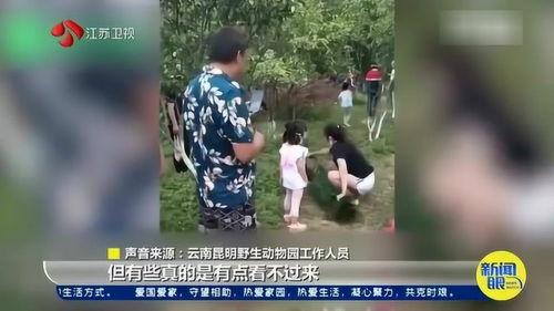 南京游客爆料视频最新,惊现“神秘”景点,网友热议! 第2张 南京游客爆料视频最新,惊现“神秘”景点,网友热议! 第2张