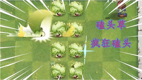 植物图片视频可以爆料吗,揭秘自然界的绿色宝藏 第3张 植物图片视频可以爆料吗,揭秘自然界的绿色宝藏 第3张