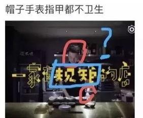 网红爆料视频公布网站,知名网站幕后真相曝光